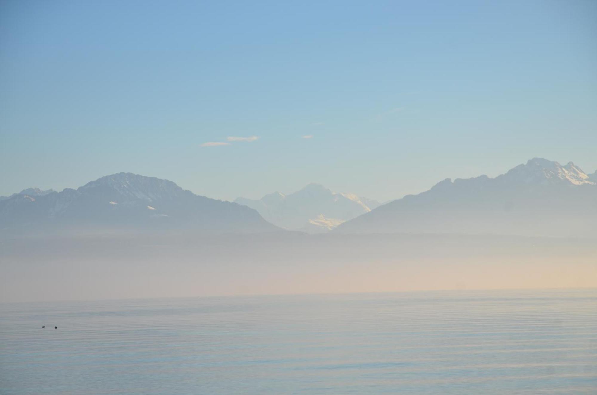 Bnb Chez Fanfan Morges Exterior photo